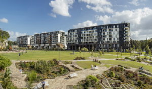 11travel plans harold park